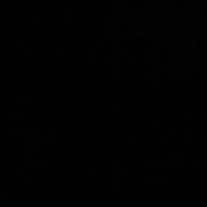 Meet your Posher, Carson